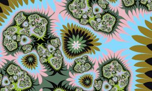  名称 highflybird06