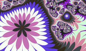  名称 highflybird07