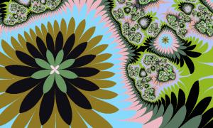  名称 highflybird08