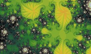  名称 highflybird11