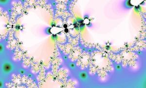  名称 highflybird15